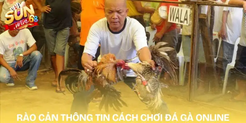 cach-choi-da-ga-online-rao-can-thong-tin