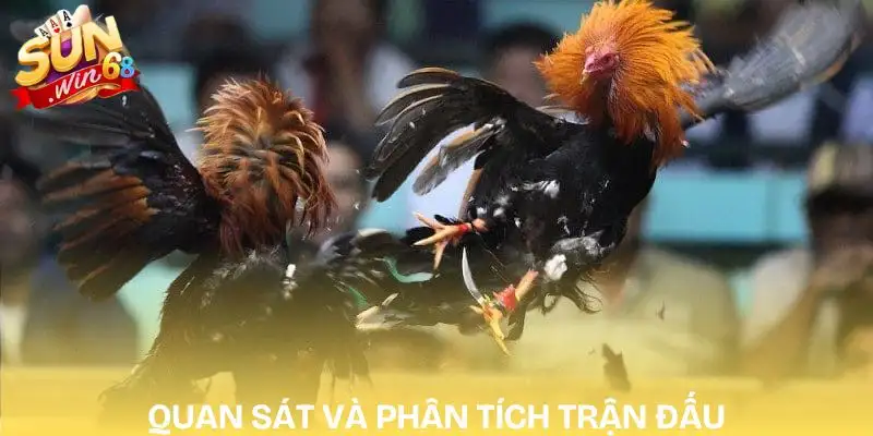keo-da-ga-hom-nay-bi-quyet-soi